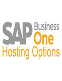 SAP Business One Guide_V2